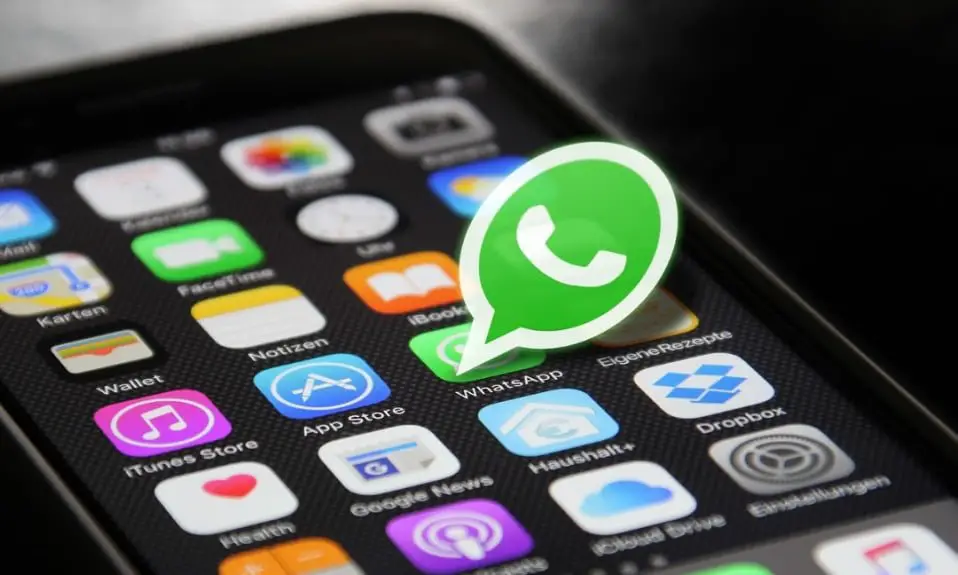 How to Stop WhatsApp Auto Download Media on Android and iOS
