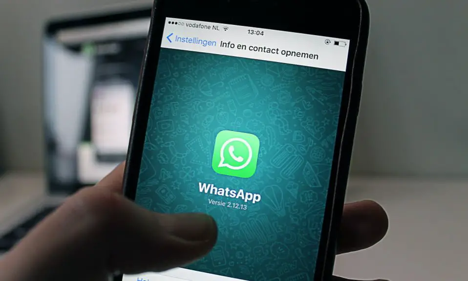 Reasons Why WhatsApp Will Ban You