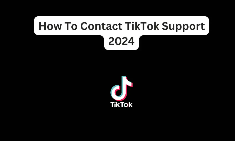 How To Contact TikTok Support 2024