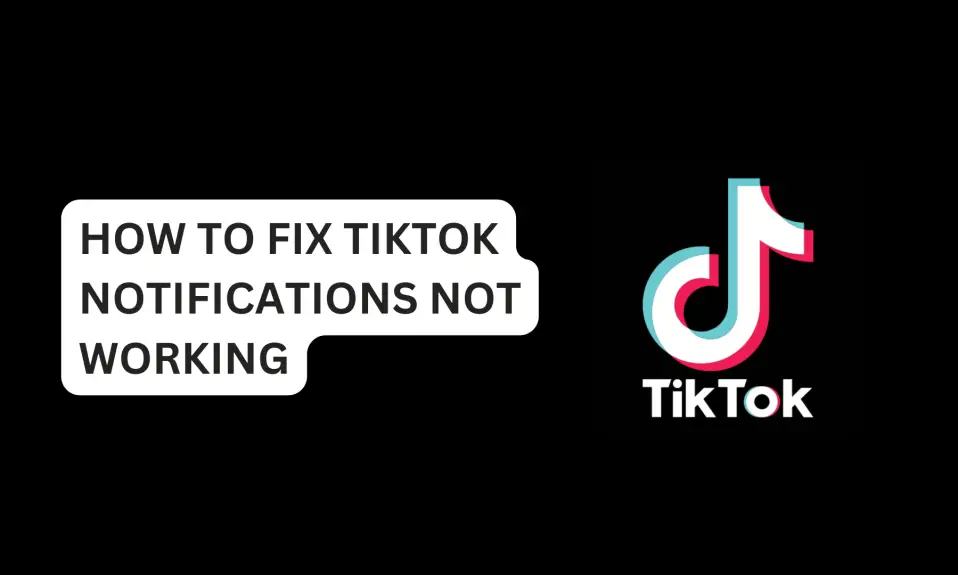 How To Fix TikTok Notifications Not Working